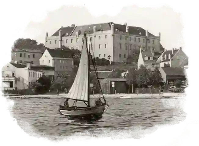 Zamek Ryn widok z lotu ptaka